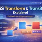 Css Transform And Transition Explained