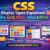 CSS Display Types Explained: block, inline, flex, grid, and More