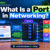 What Is a Port in Networking? A Practical Guide for Developers